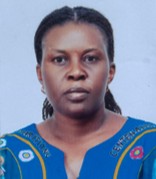 Board Member 13