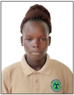 Committee Member