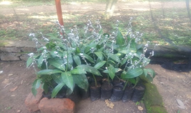 Demonstration Plot